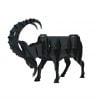 Ibex3.jpg