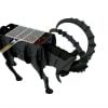 Ibex5.jpg